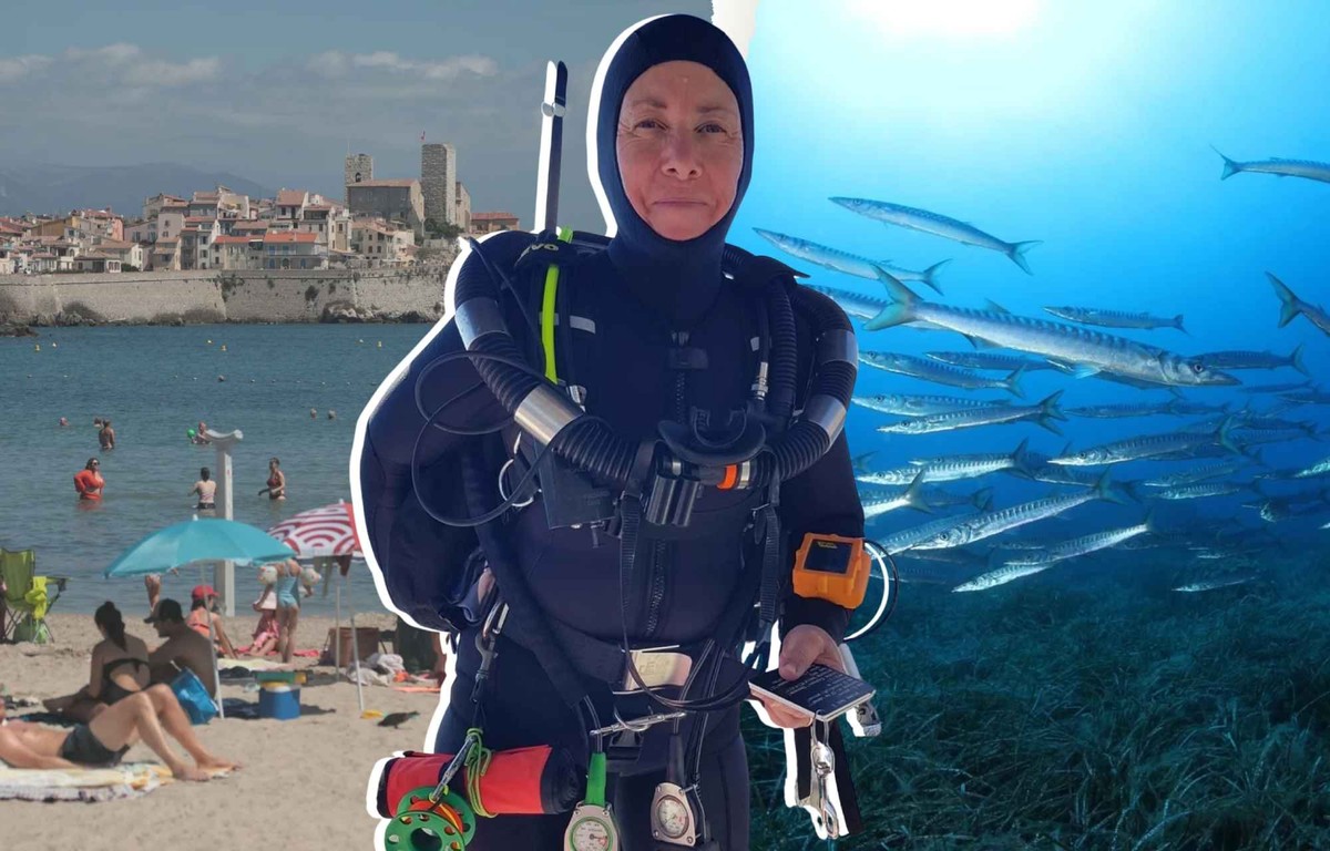 Cette biologiste alerte sur la «tropicalisation» de la Méditerranée.