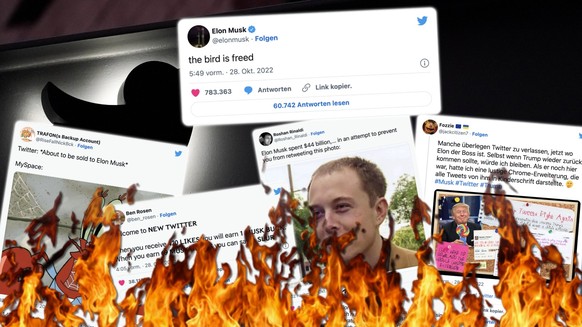 Elon Musk kauft Twitter – und die Userschaft dreht durch.