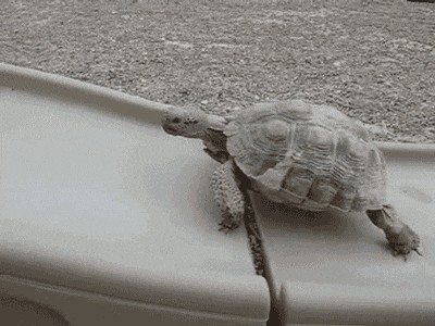 Animiertes GIF