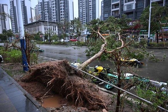 epa12402160 An uprooted tree on the roadside in Yangjiang City, Guangdong Province, China, 24 September 2025. Typhoon Ragasa, the 18th typhoon of 2025, made landfall in south China&#039;s Guangdong Pr ...