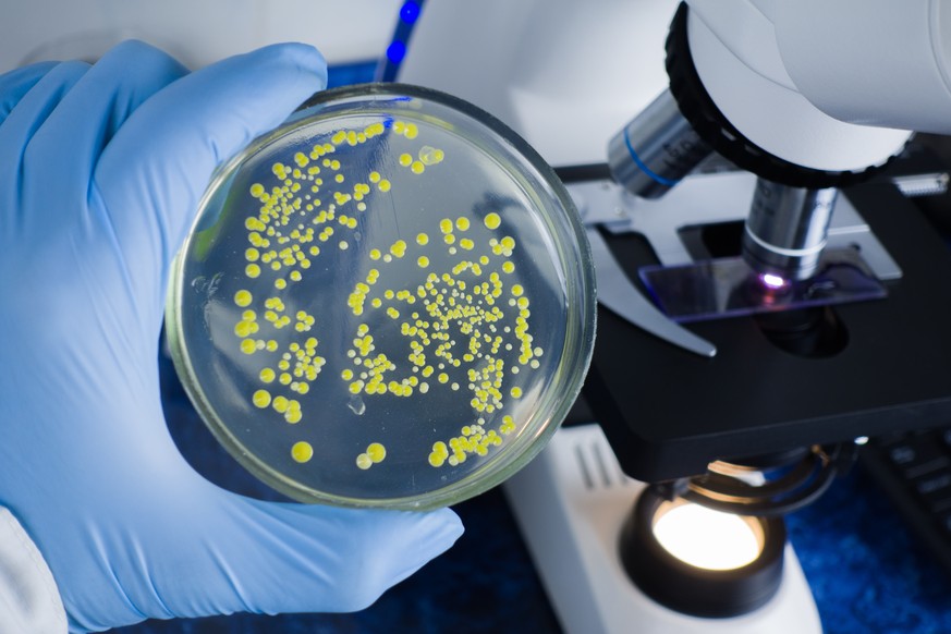 Krank machende Bakterien werden immer häufiger antibiotikaresistent.