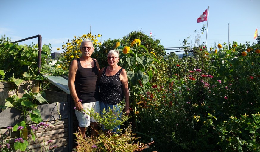 Reportage aus dem Familiengarten Scheuerrain in Muttenz, der wegen des geplanten Rheintunnels mit dem nationalen Autobahnausbau platt gemacht werden soll.