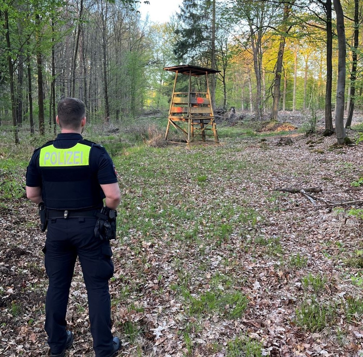 Tatort Wald mit Hochsitz