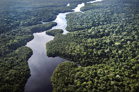 Curua River flows near the Esecaflor project, where scientists mimic drought to understand how the rainforest might respond to a drier future, in Caxiuana National Forest, Para state, Brazil, Saturday ...