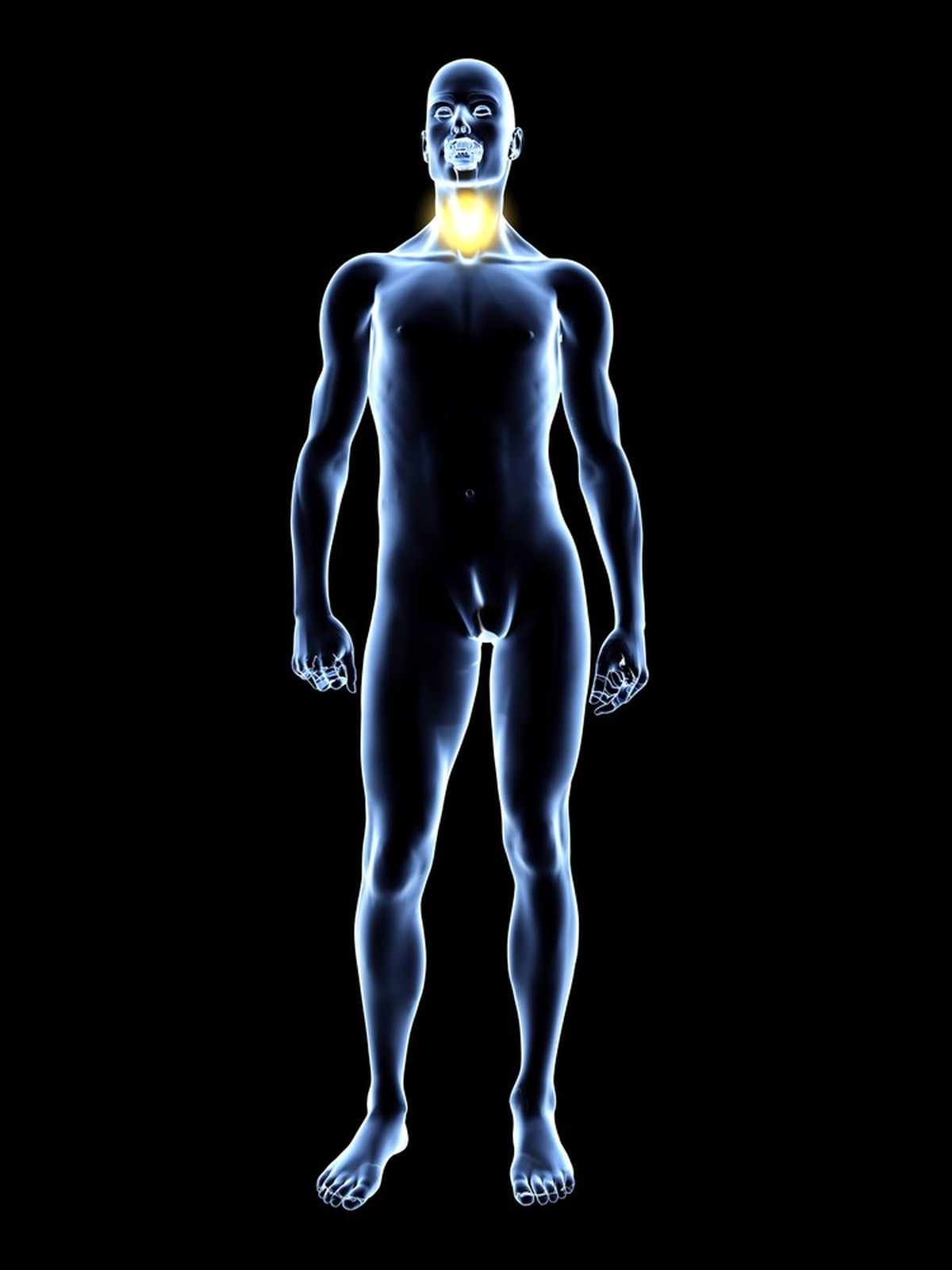 Wellness-Stockfotos Absurd