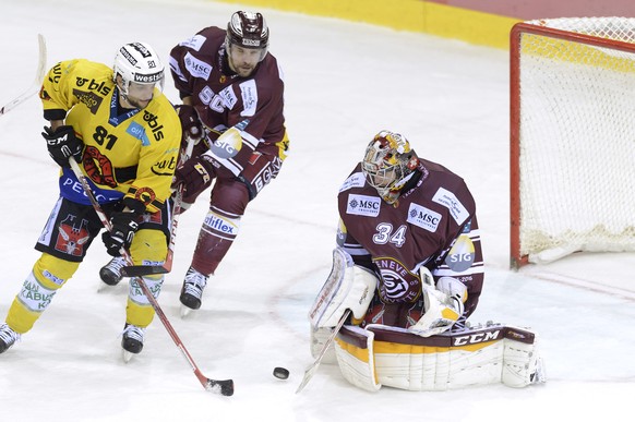 Le joueur bernois, Thomas Ruefenacht, gauche, a la lutte pour le puck avec le joueur Genevois, Goran Bezina, centre, devant le gardien bernois, Marco Buehrer, droite, lors du match du championnat suis ...