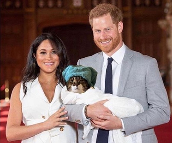 Meghan, Harry und...Katze Archie?