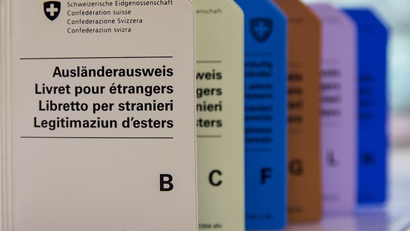 Bald nicht mehr nötig: Hüllen für die heutigen Ausländerausweise aus Papier, die ab November durch Ausweise im Kreditkartenformat ersetzt werden. (Archivbild)