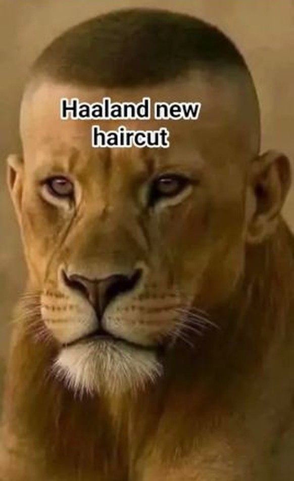 Haalands neue Haare: die besten Memes