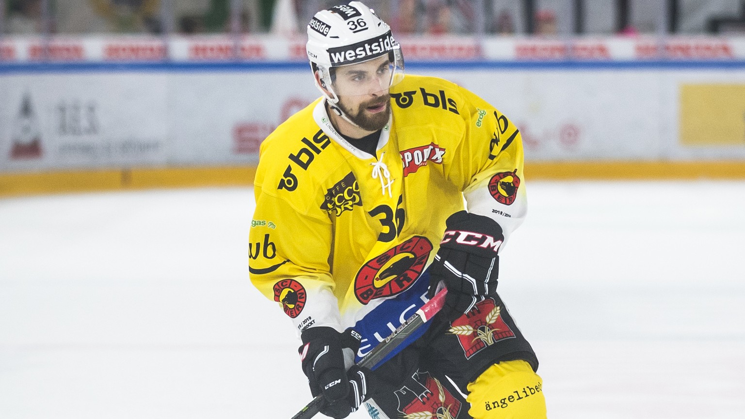 Le joueur bernois Mark Arcobello, lors de la rencontre du championnat suisse de hockey sur glace de National League entre le Lausanne Hockey Club, LHC, et le SC Bern ce dimanche 18 novembre 2018 a la  ...