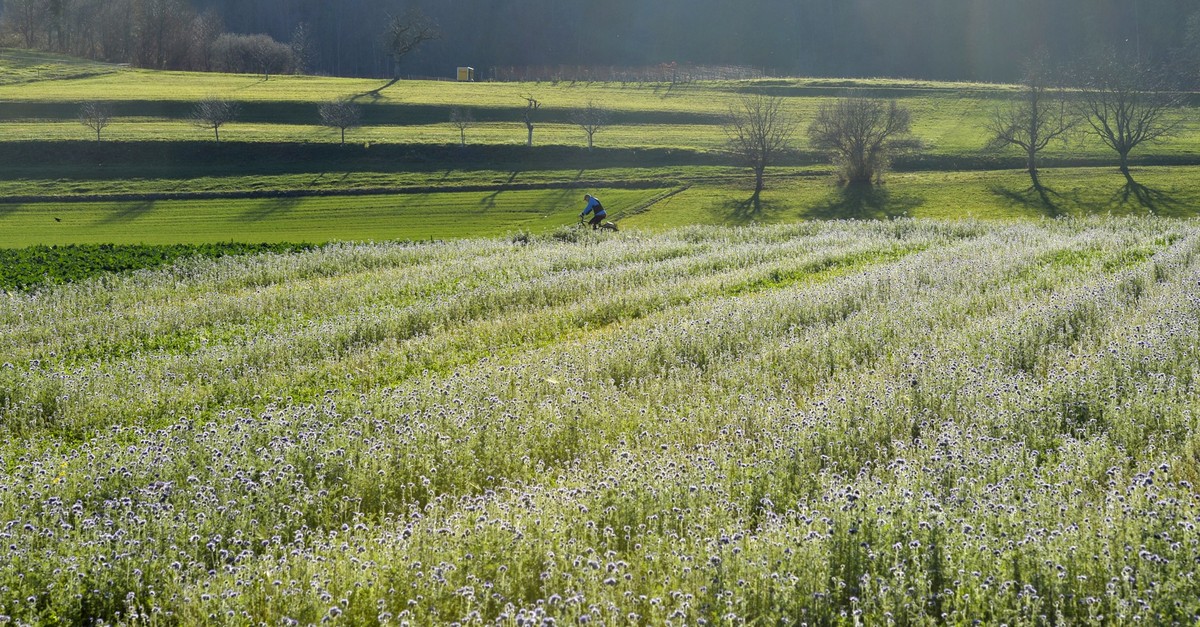 Der-ungeliebte-November-zeigt-sich-immer-mehr-von-seiner-besten-Seite