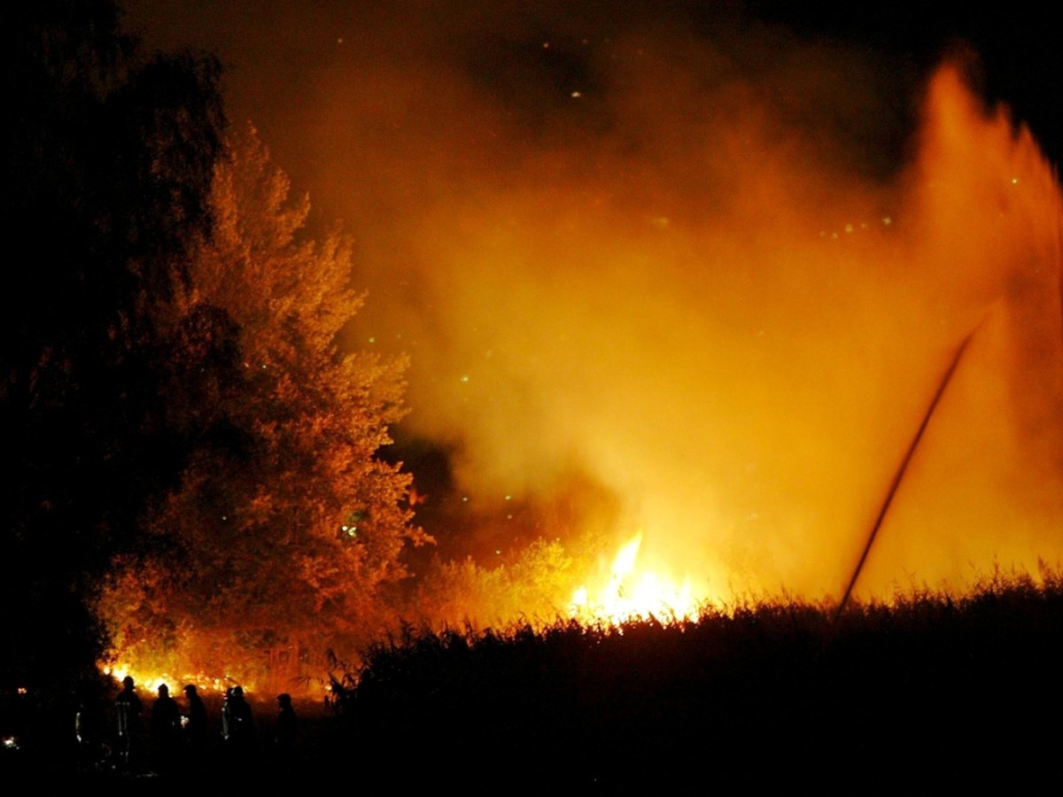 Le feu est vraisemblablement d� � une n�gligence (image d'archives).