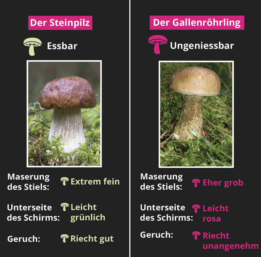 Source: VAPKO