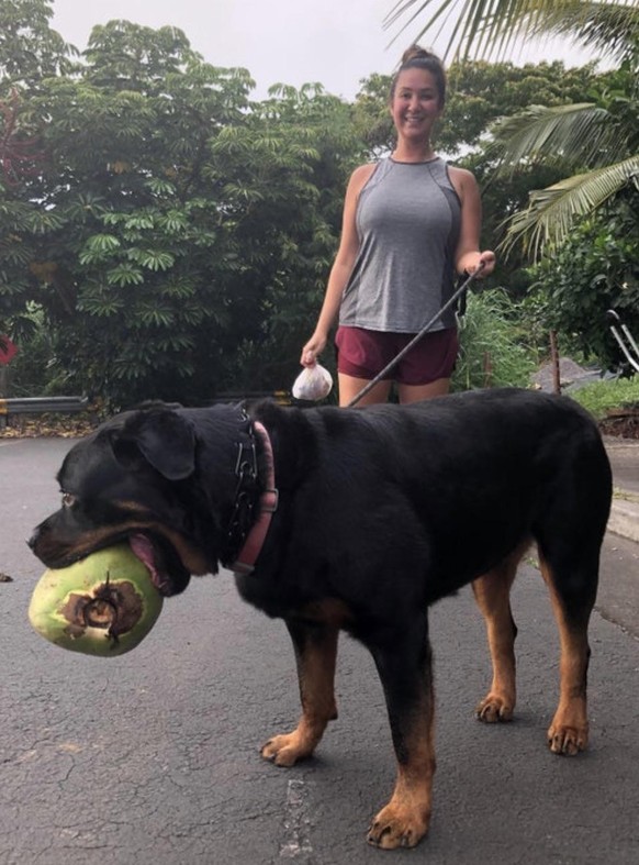 cute news animal tier hund dog

https://www.reddit.com/r/AbsoluteUnits/comments/trglta/big_dog_with_samoan_coconut_for_scale/