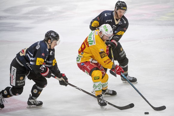 Fribourgs Killian Mottet, links, und Fribourgs Samuel Walser, rechts, im Duell mit Tigers Chris DiDomenico Mitte, waehrend des Meisterschaftsspiels der National League, zwischen dem HC Fribourg-Gotter ...