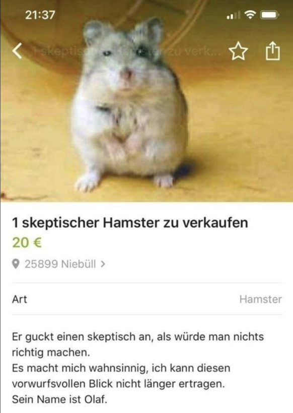 Kuckuck! Hier gibt&#039;s lustige Tierbilder. (Und auch das eine oder andere GIF)
Ist wohl der Brudi von 1 skeptischer Hamster