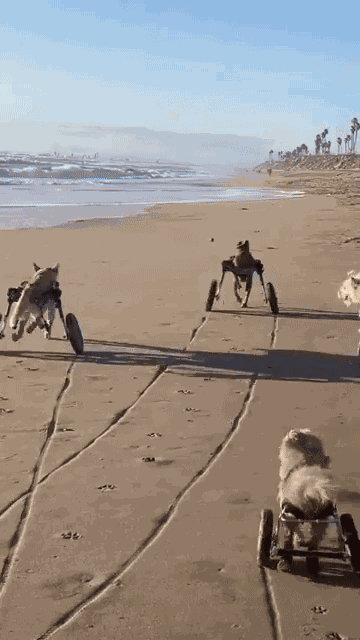 Animiertes GIF