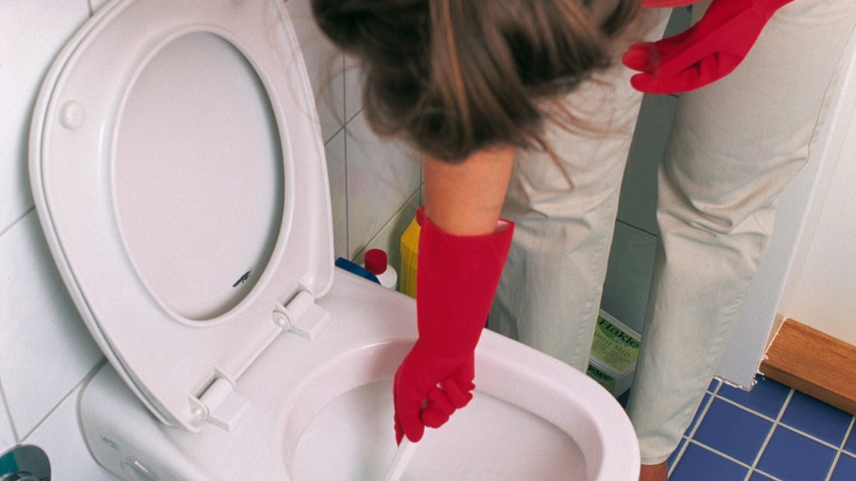 [Stockbild] Bathroom. Badezimmer. Toilet. WC. Toilette. Clean. Grooming. Putzen. Brush. WC Buerste. Woman. Frau. Housework. Hausarbeit. (KEYSTONE/Ayse Yavas) === , === : DIA, Nr. 156963]
