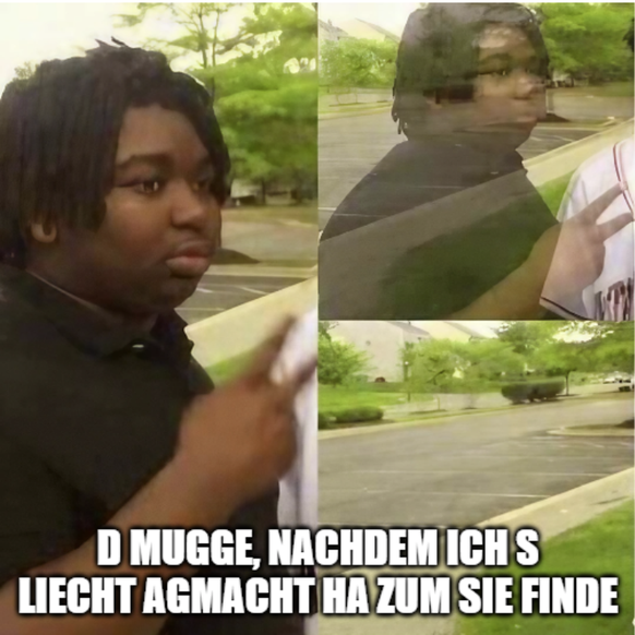 Lustige Mücken Memes