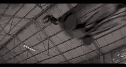 Animiertes GIF