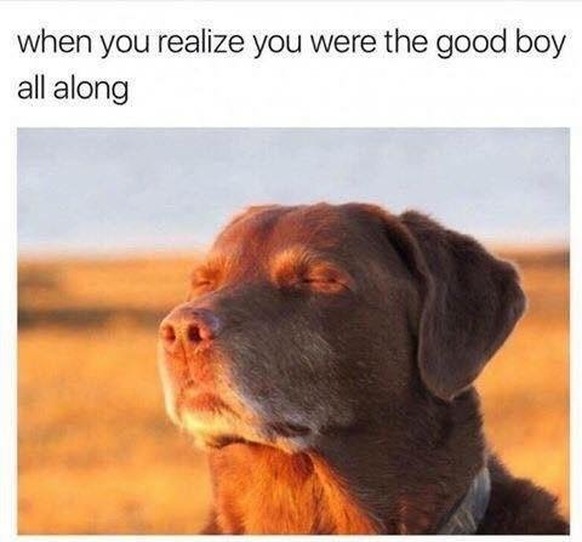 Good Boy
Cute News
http://imgur.com/gallery/r4FW6