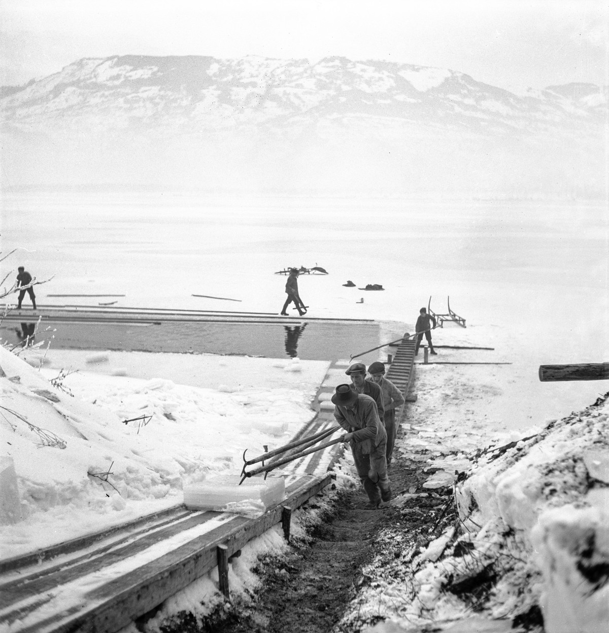 At the frozen Lake Lauerz in Canton Schwyz, Switzerland, ice is extracted for the brewery Waedenswil and stored until the summer months, undated photo, taken in the 1930s. For this purpose, furrows ar ...