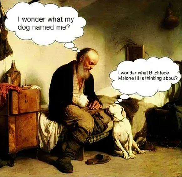 Du weisst, was dieses Bild bedeutet. Hopp. Picdump! рџЊќ\nJa ja, unsere Haustiere.рџ¤·