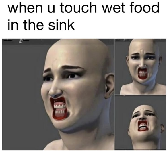 Die lustigsten Memes der Woche