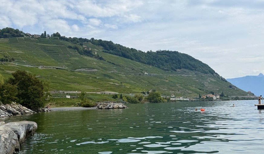 Mont Pèlerin Vevey Lavaux Weinterrassen Epesse Dézaley