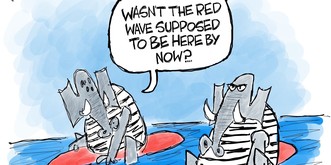 Die besten Karikaturen, die perfekt zeigen, wie sich Trump in den Midterms verzockt hat