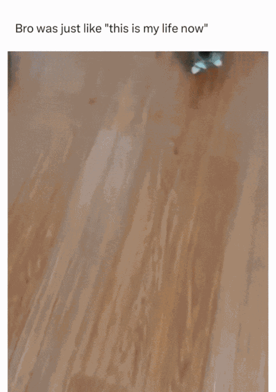 Animiertes GIF