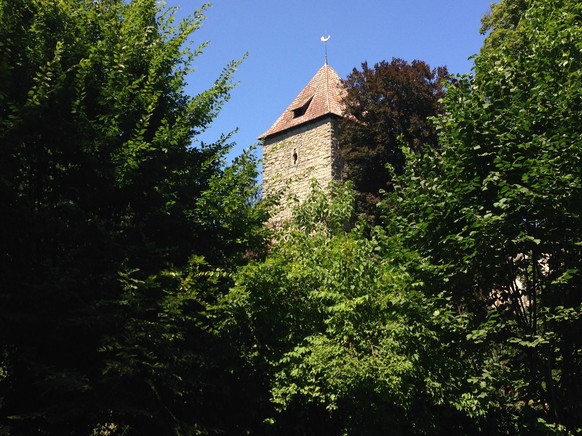 Von der Schweizer Seite her verdecken die Bäume das Schloss. Man sieht praktisch nichts davon.