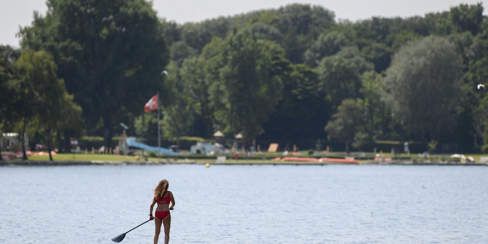 Im Bielersee gab es in diesem Jahr schon zwei Meldungen zu Blaualgen.