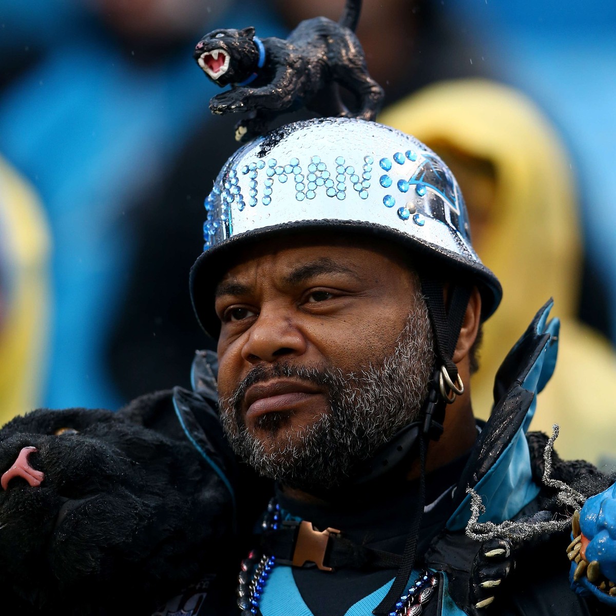 CHARLOTTE, NC - JANUARY 03: A Carolina Panthers fan looks on prior the NFC Wild Card Playoff game between the Arizona Cardinals and the Carolina Panthers at Bank of America Stadium on January 3, 2015  ...