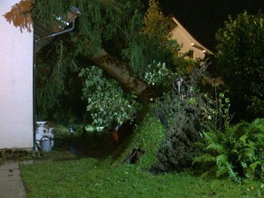 In Laufen BL stürzte ein Baum gegen ein Haus.