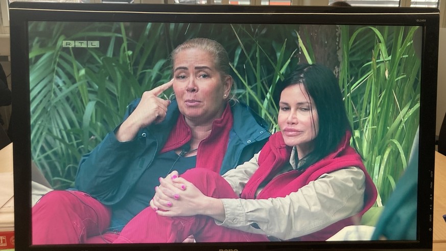 Jungle Camp 2023