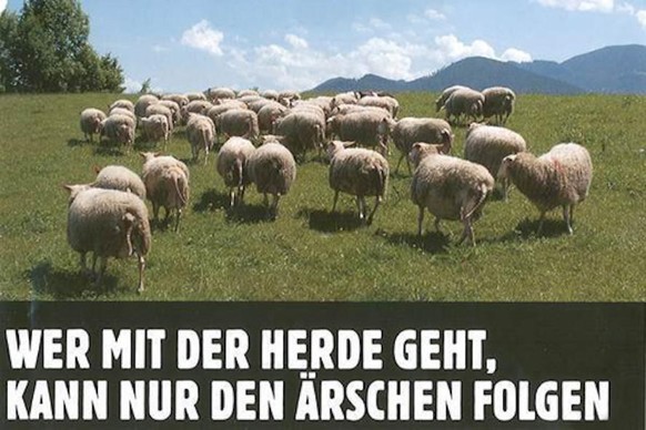 Kanadas Corona-Trucker blockieren – und die Faschisten weltweit applaudieren\n@TransatlanticFlight
Ist schon klar, aber ich wollte eigentlich damit darauf aufmerksam machen dass man unschuldige Tiere, ...