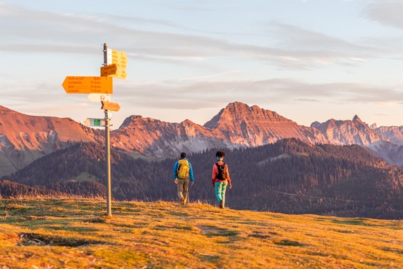 Rauszeit Herbstwanderungen Niremont