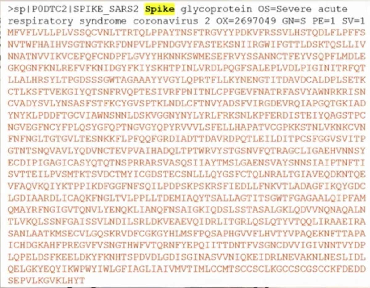 Spike Protein Coronavirus in der Bioinformatik
