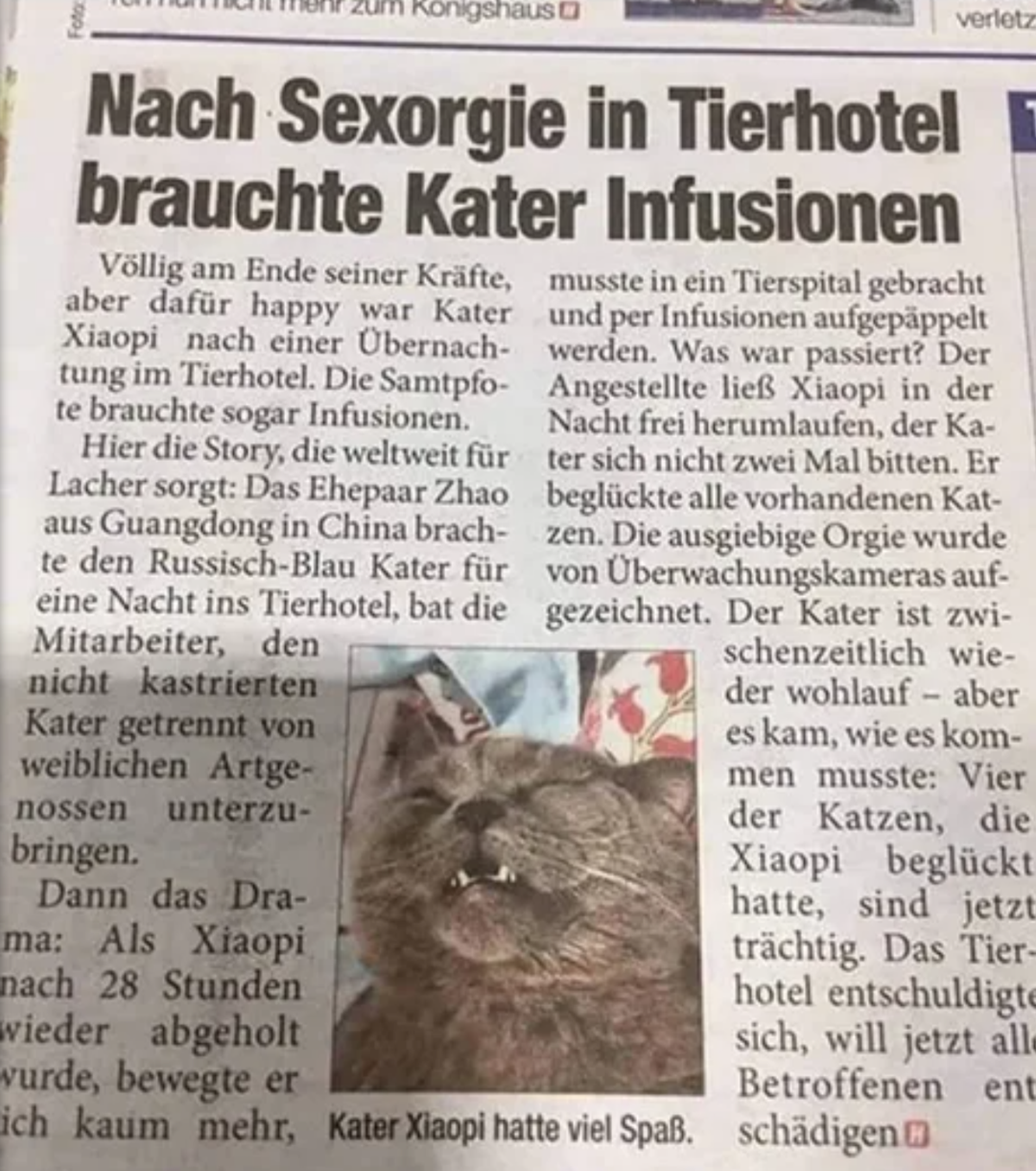Bild