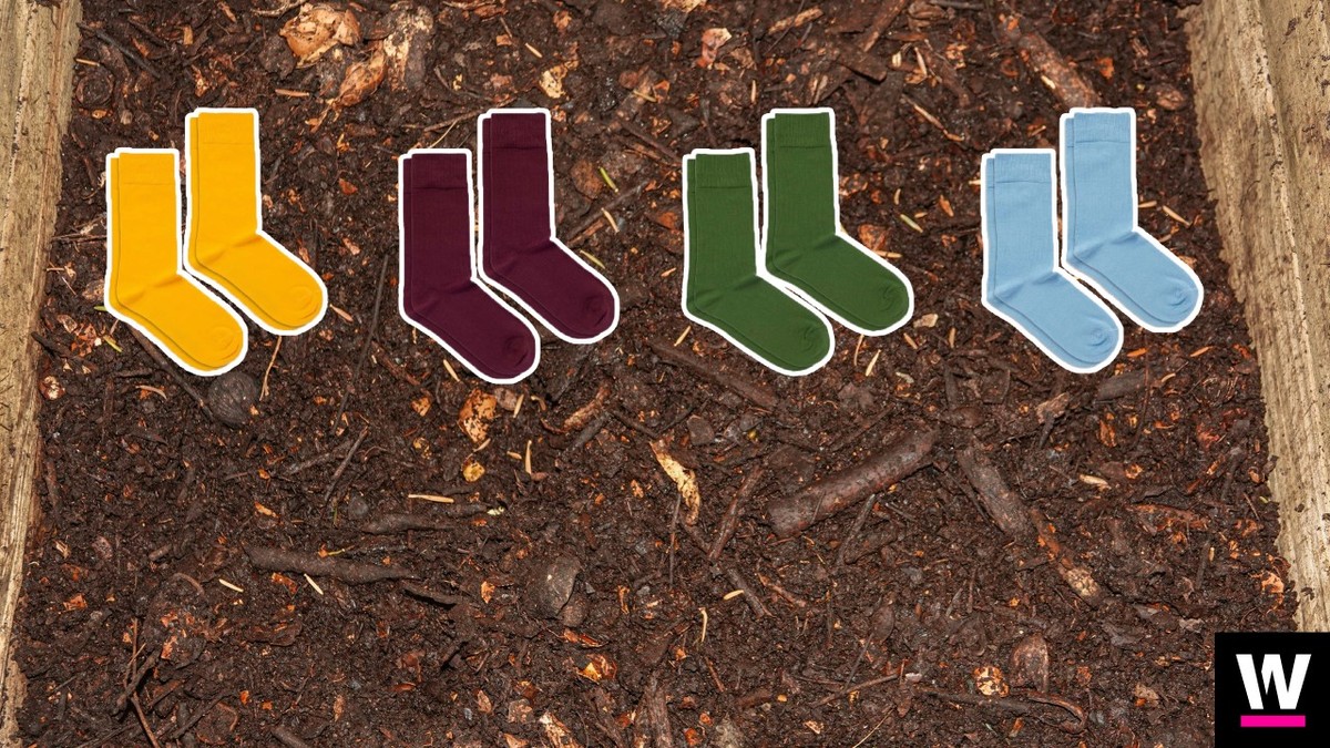 DillySocks hat die weltweit ersten kompostierbaren Socken herausgebracht.