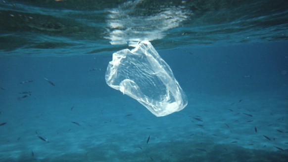 Plastiksack plastic sea mikroplastik micro meer