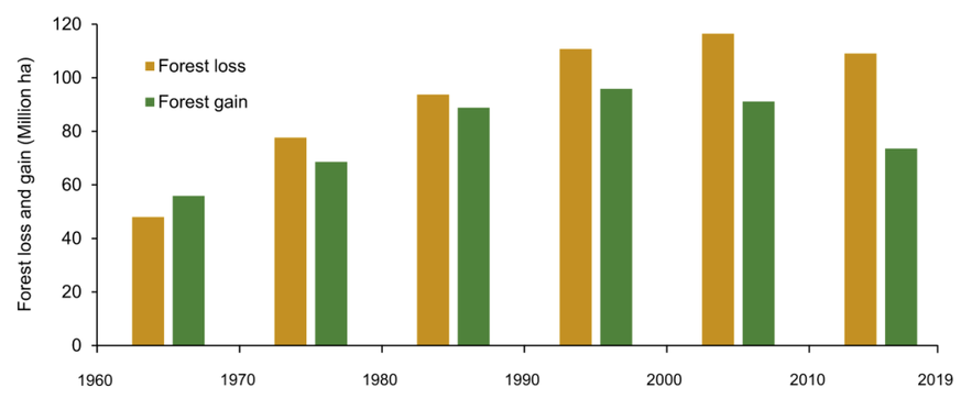 Globaler Waldverlust und -gewinn zwischen 1960 und 2019. In Millionen Hektaren