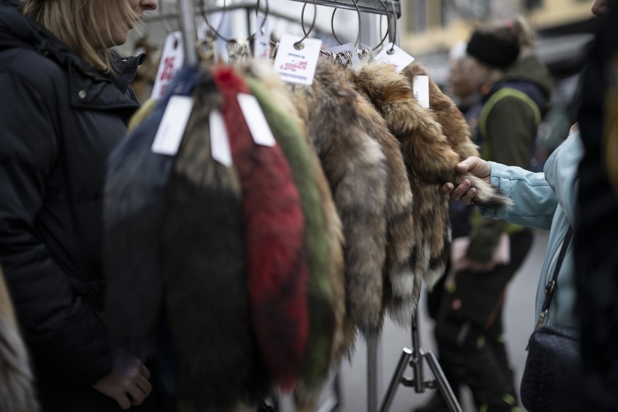 Eine Frau befuehlt Pelz am traditionellen Fellmarkt, am Samstag, 14. Maerz 2026, in Thusis. Die Wildtiere ohne natuerliche Feinde werden bejagt, um deren Population zu regulieren. (KEYSTONE/Gian Ehren ...
