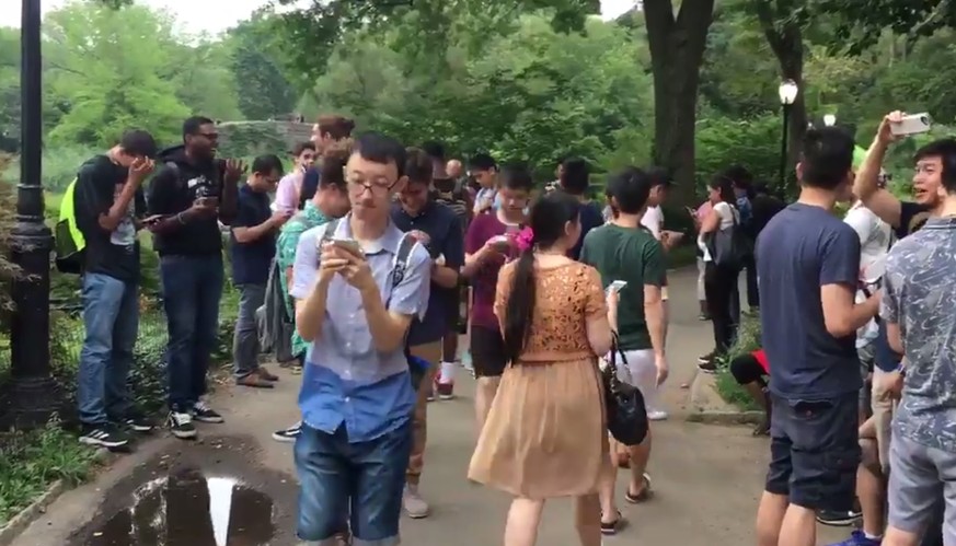 Schau mal, was «Pokémon Go» gerade mit der Menschheit anstellt