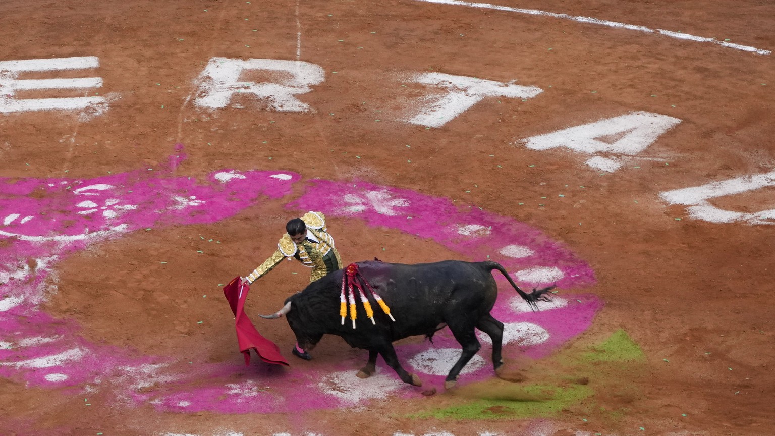 A bullfighter performs during a bullfight at the Plaza Mexico, in Mexico City, Sunday, Jan. 28, 2024. Bullfighting returned to Mexico City after the Supreme Court of Justice overturned a 2022 ban that ...