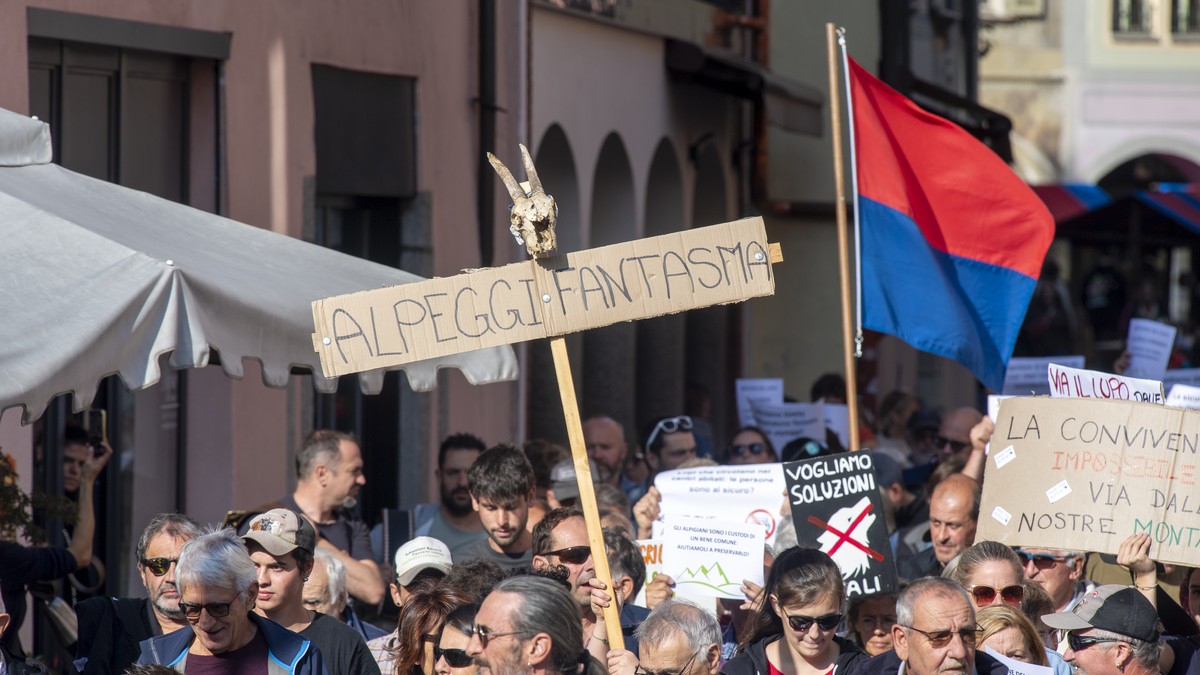 tessiner-viehz-chter-demonstrieren-gegen-wolf