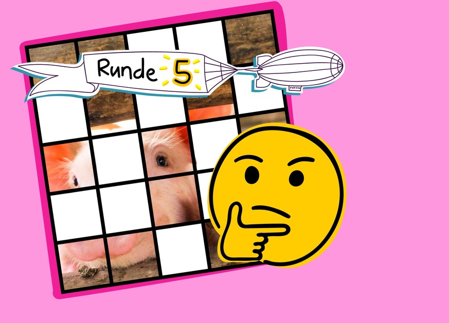 Noch eine Runde Tiere! Bist du dieses Mal besser? 🐷