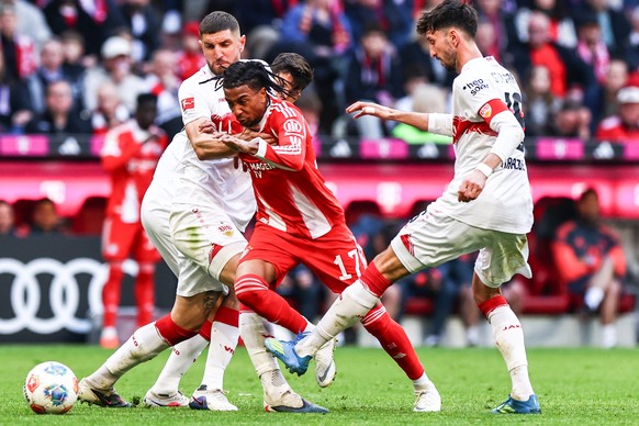 epa12900833 Michael Olise (C) of Munich in action during the German Bundesliga soccer match between FC Bayern Munich and VfB Stuttgart, in Munich, Germany, 19 April 2026. EPA/ANNA SZILAGYI CONDITIONS  ...