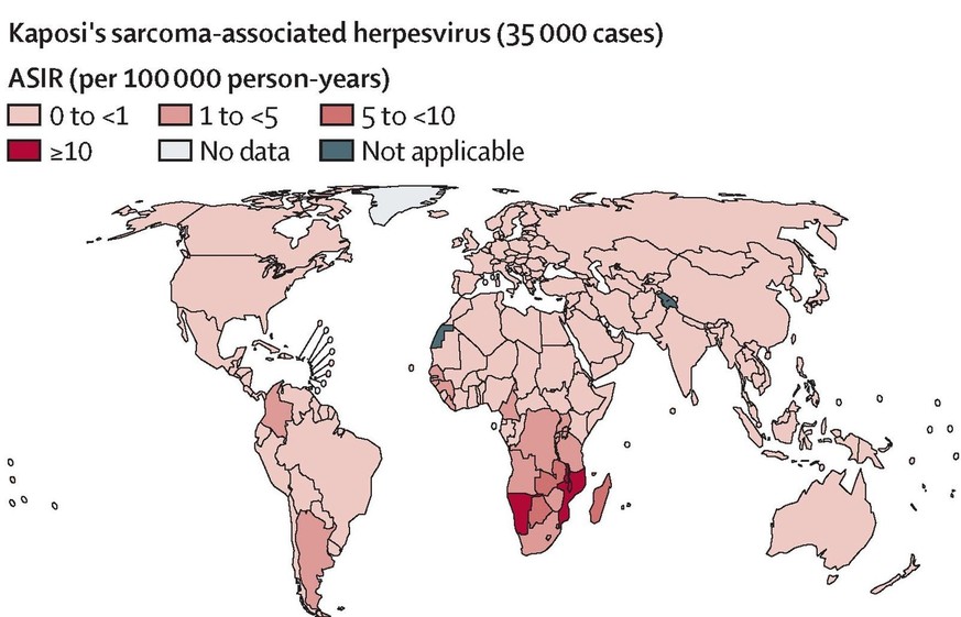 Kaposi Sarkom Herpesvirus
https://www.thelancet.com/journals/lanonc/article/PIIS1470-2045%2826%2900307-4/fulltext